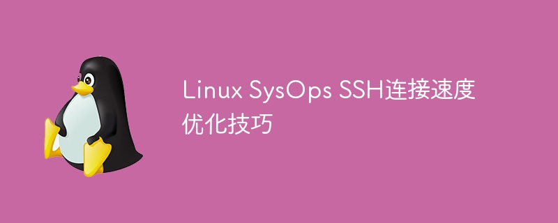 Linux SysOps SSH连接速度优化技巧-uusu优素-乐高,模型,3d打印,编程