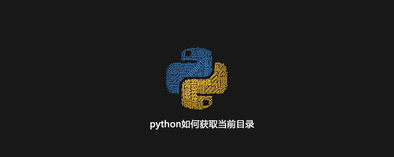 图片[1]-python如何获取当前目录-优素网-模型,乐高,编程,学习经验