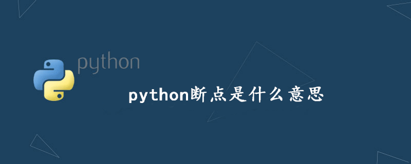 python断点是什么意思-uusu优素-乐高,模型,3d打印,编程